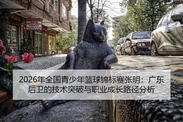 nian-quan-guo-qing-shao-nian-lan-qiu-jin-biao-sai-zhang-ming-guang-dong-hou-wei-de-ji-shu-tu-po-yu-zhi-ye-cheng-zhang-2-508.jpg